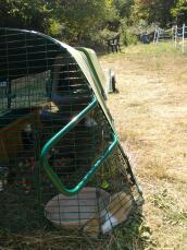 A green Go hutch with a run attached and a cover over over the top with guinea pigs inside