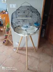 Omlet Geo bird cage with black cage, cream base and tall legs