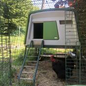 Omlet green Eglu Cube large chicken coop and run