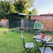 A chicken fencing connected to a wooden fence and a large run