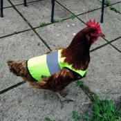 A very smart high-vis jacket!