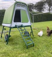 A green coop standing inside a run, in a garden