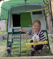 Fun silkie swing time