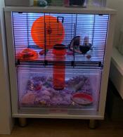 Really pleased, we have even added some led lights for our little hamster so it’s not too dark!