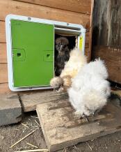 The girls love their new door!