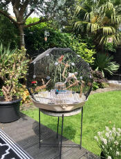 Geo bird cage with black cage and cream base in the garden