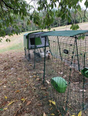 Automatic door for chicken house EgluCube 