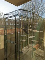 A cat inside his balcony catio, resting on his outdoor cat tree