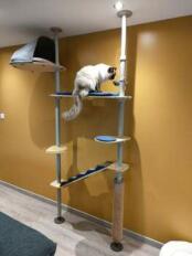 Easy to assemble and very design in my interior.