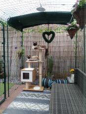 Boys having a morning chill in their catio 