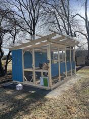 Chicken Coop