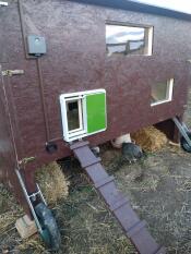 Wooden coop with Omlet green automatic chicken coop door