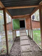 Chicken flap on wooden coop