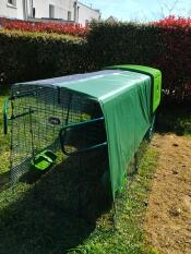Semi-transparent tarpaulin for poultry house