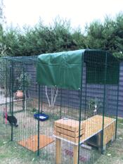 Omlet catio in garden