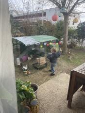 Children's attraction