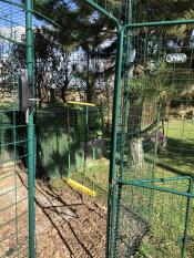 A walk in run with a chicken swing inside with a Cube chicken coop attached