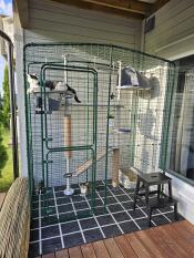 Cat sat on Freestyle cat tree platform inside balcony cat enclosure.