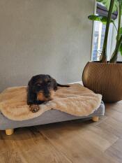Teun happy with his new basket!
