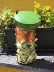 Omlet chicken Caddi treat holder