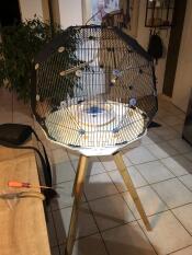 A Geo bird budgie cage in a kitchen