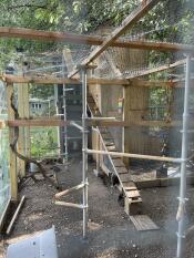 Chicken Play Gym