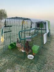 A chicken coop in a wintery landscape