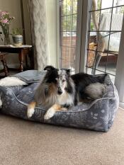 My new bed 💙