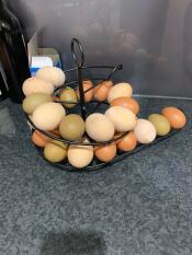 Eggs in Omlet black egg skelter