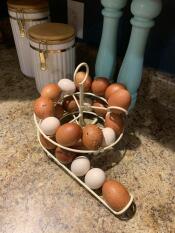 Eggs from the french marans and a silkie!