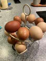 Eggs on skelter
