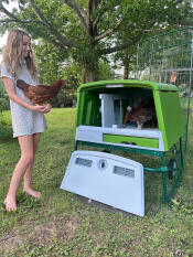 Sneak Peek of the Chickens from the Back of the Coop