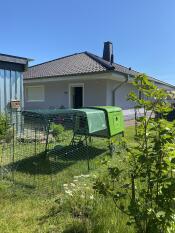 A green chicken coop with a 3m run in a sunny garden