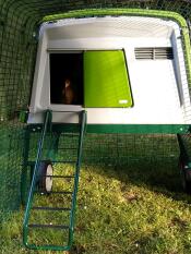 Omlet green Eglu Cube large chicken coop and run