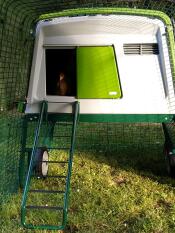 Omlet green Eglu Cube large chicken coop and run