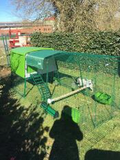 A large green Cube chicken coop in a garden with a run attached and a cover and a perch and feeding bowls