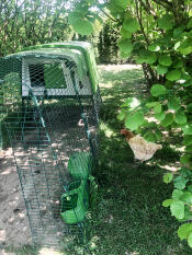 Cube chicken coop in a sunny garden with a run and covers attached