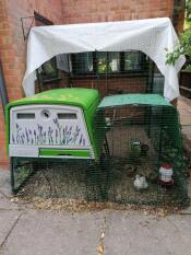 Our Eglu Cube and run attached to the 2m x 2m walk in run. my sister has decorated it with painted flowers and it looks really pretty. 