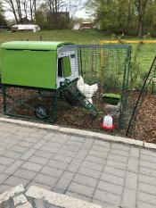 Omlet green Eglu Cube large chicken coop and run