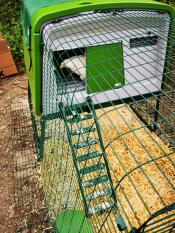 Omlet green Eglu Cube large chicken coop and run