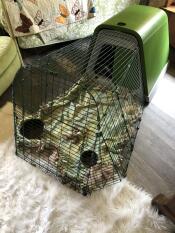 Piggie set up