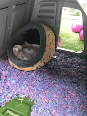 So much space inside 