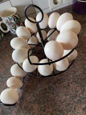 Black egg skelter with eggs