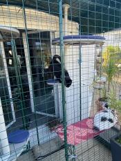 Balcony enclosure