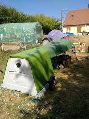 A green Go hutch with a run attached and covers over the top and guinea pigs inside