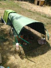 A green Go hutch with a run attached and a cover over the top with guinea pigs inside