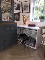 Juno’s room - sussex