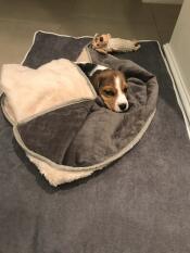I'm very lucky to have such a soft cosy Omlet bed, it comes everywhere with me
