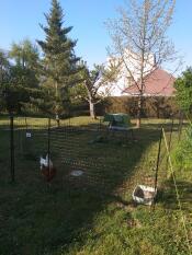 A Go up chicken coop behind some chicken fencing with two chickens in a garden
