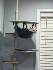 Hangin out